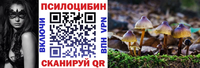 Купить закладки  Мончегорск  Галлюциногенные грибы Psilocybe 